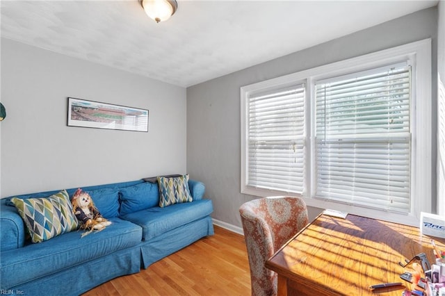 living room featuring light wood-type flooring