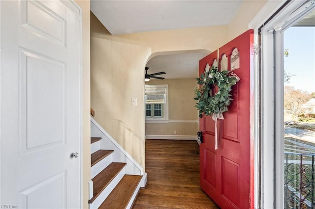 foyer with dark hardwood / wood-style floors, ceiling fan, and a wealth of natural light