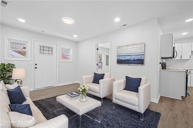 living room with wood-type flooring