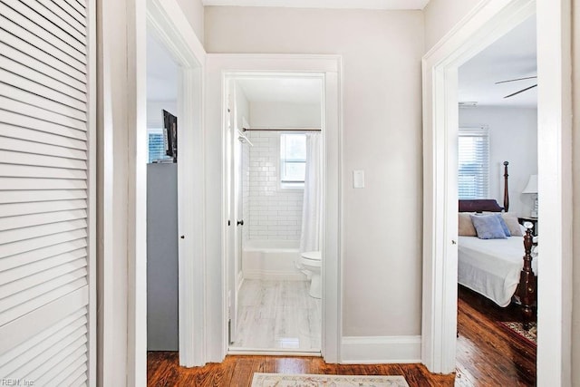 hall with dark hardwood / wood-style floors