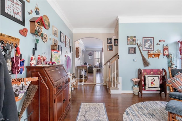 living area featuring crown molding and dark hardwood / wood-style floors