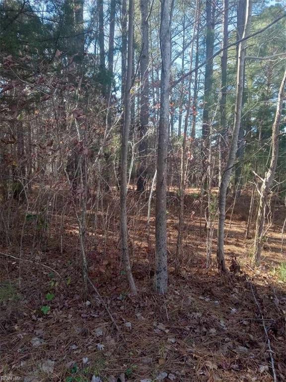 Listing photo 2 for 1.25AC Tylers Beach Rd, Smithfield VA 23430