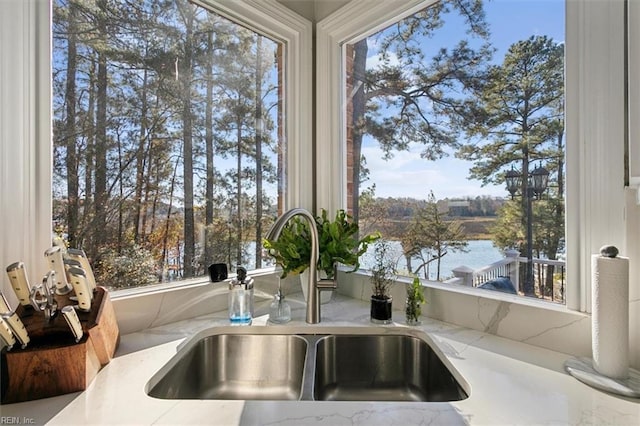 details with a water view, light stone counters, and sink