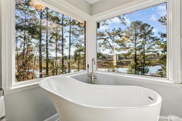 bathroom with a bathing tub, a wealth of natural light, and a water view