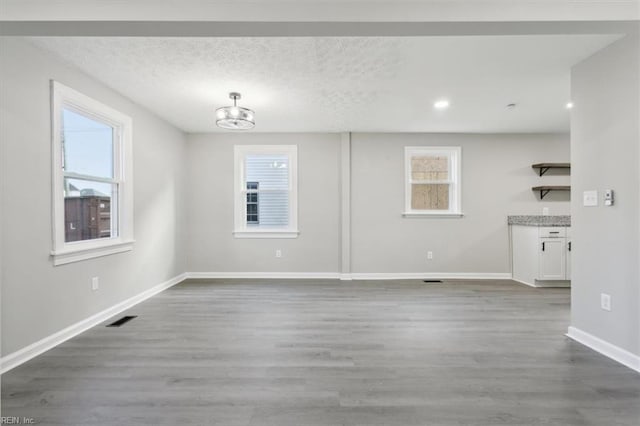 interior space featuring hardwood / wood-style floors and plenty of natural light