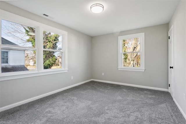 empty room featuring carpet flooring and a wealth of natural light