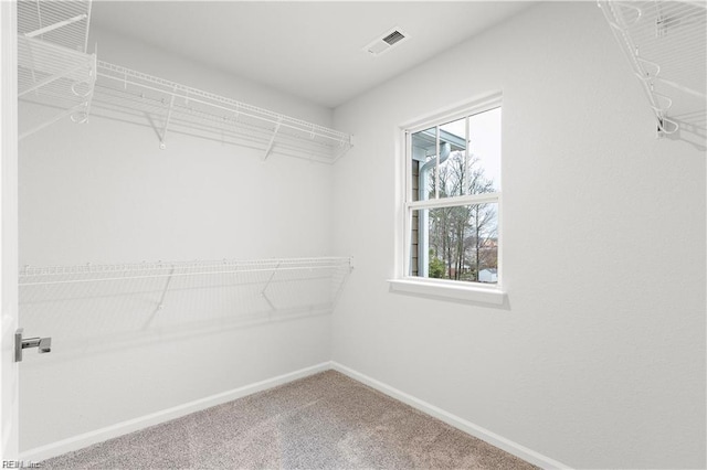 spacious closet with carpet