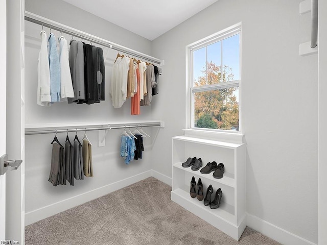 walk in closet featuring light carpet