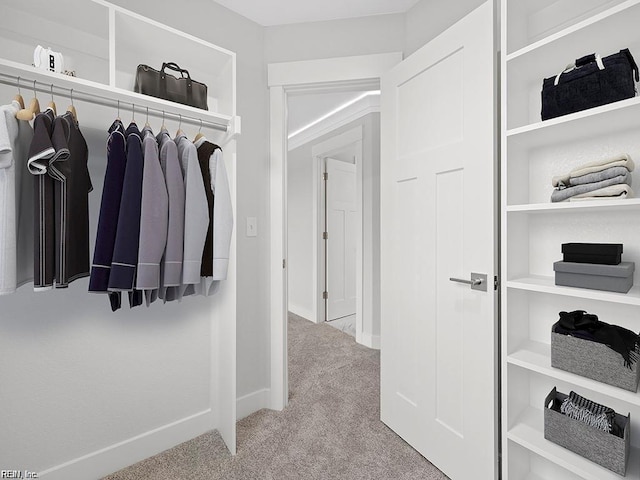 spacious closet featuring light colored carpet