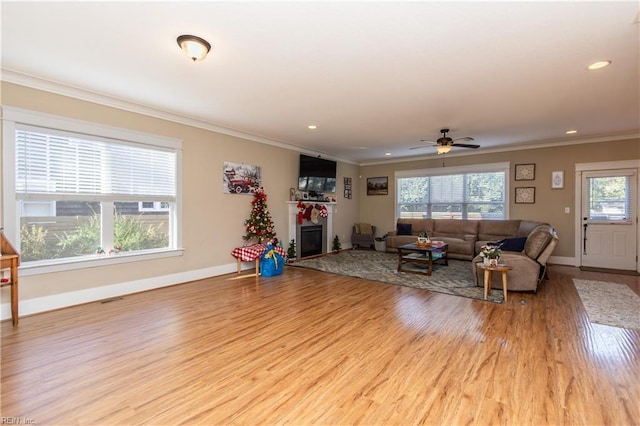 living room featuring ceiling fan, a healthy amount of sunlight, light hardwood / wood-style floors, and crown molding