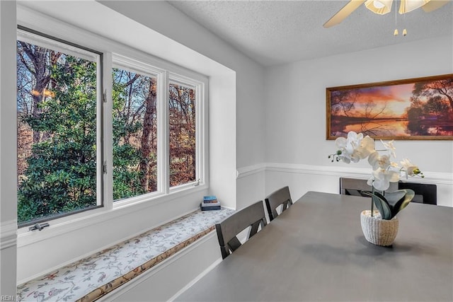 dining space featuring a wealth of natural light, ceiling fan, and a textured ceiling