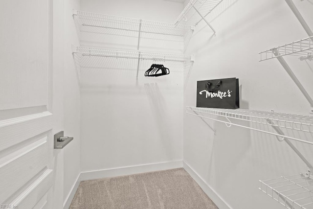 spacious closet with carpet