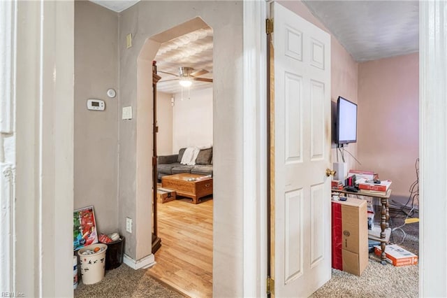 hallway with hardwood / wood-style floors