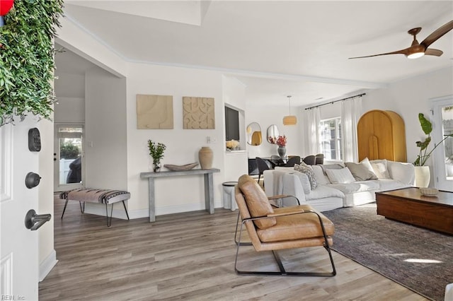 living room with ceiling fan, plenty of natural light, and wood-type flooring