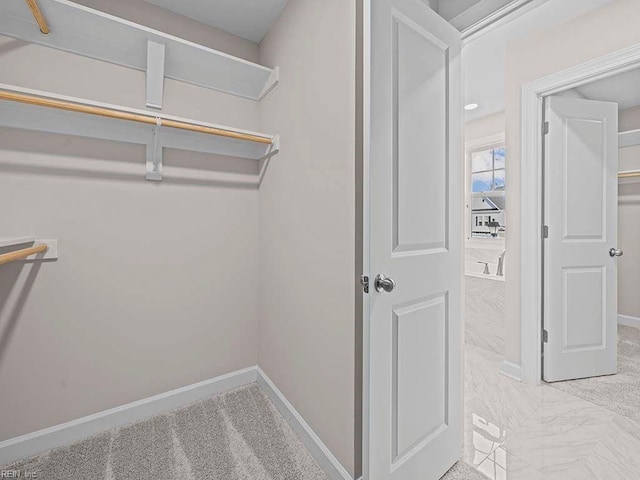 spacious closet featuring light carpet