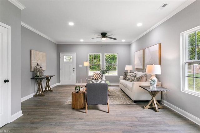 living room with dark hardwood / wood-style floors, ceiling fan, and crown molding