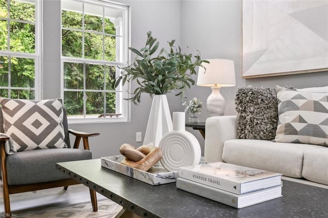 sitting room featuring plenty of natural light