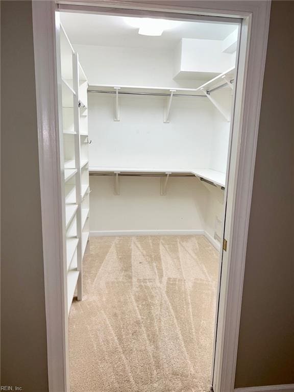 walk in closet with light carpet