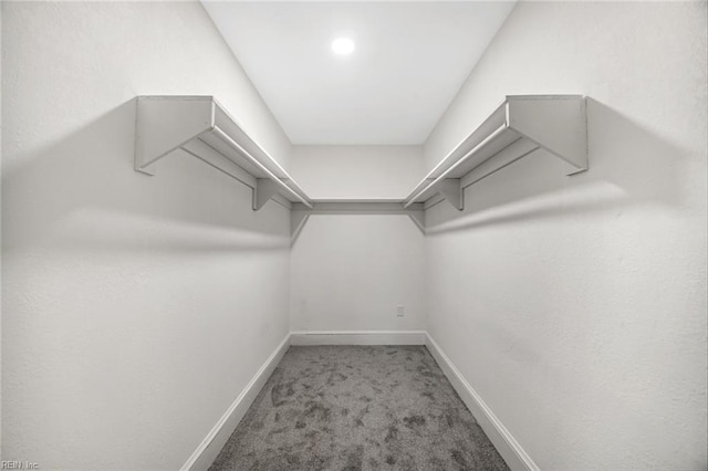 walk in closet with carpet floors