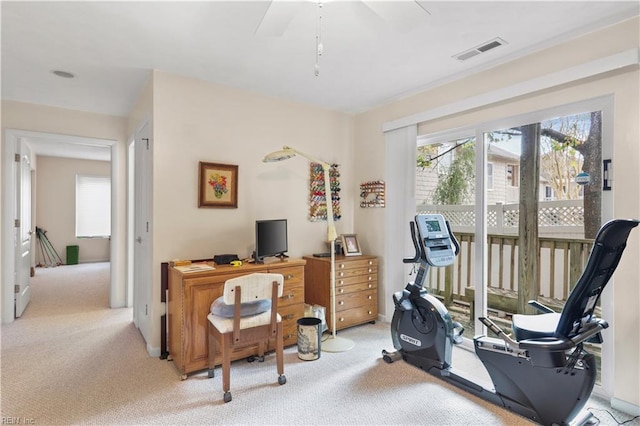 exercise area featuring light colored carpet