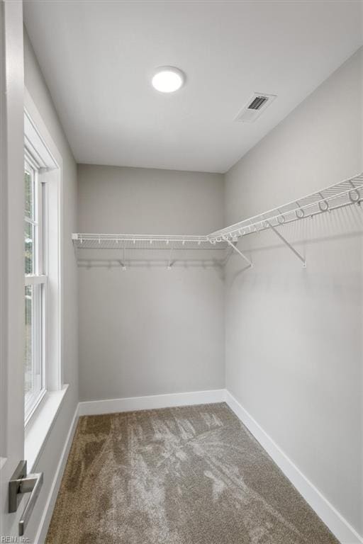 spacious closet with carpet