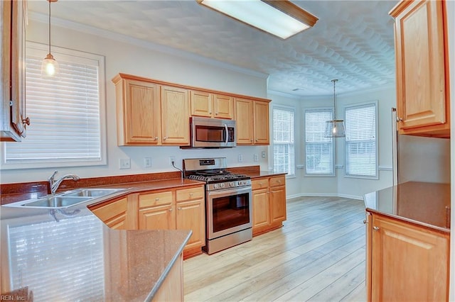 kitchen featuring sink, hanging light fixtures, light wood-type flooring, and appliances with stainless steel finishes