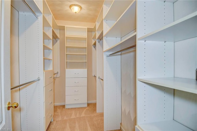 view of walk in closet