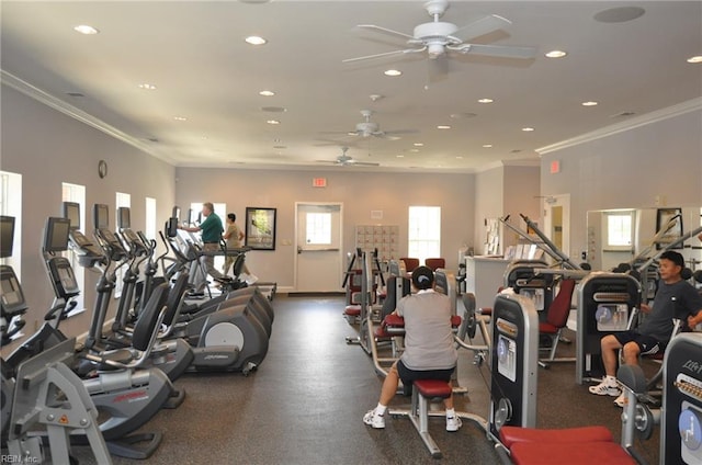 exercise room with ceiling fan and crown molding