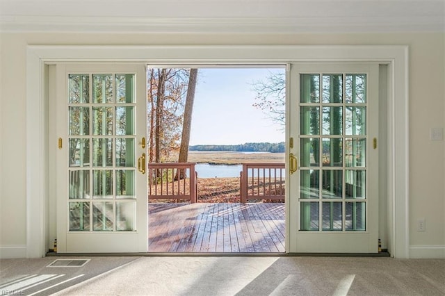 entryway with carpet and a water view