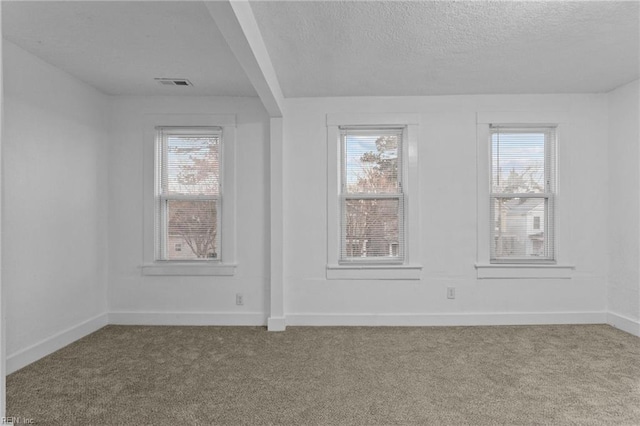 unfurnished room featuring carpet flooring, a healthy amount of sunlight, and a textured ceiling