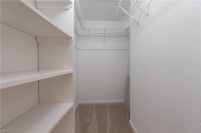 walk in closet featuring carpet