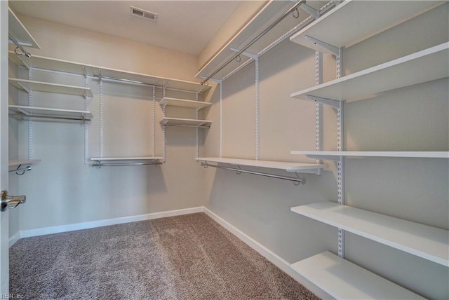 walk in closet with carpet