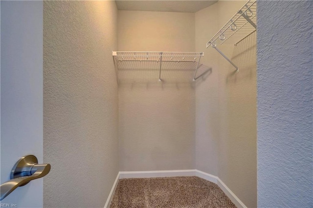 spacious closet with carpet floors