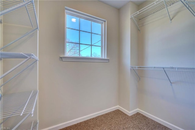 spacious closet with carpet flooring