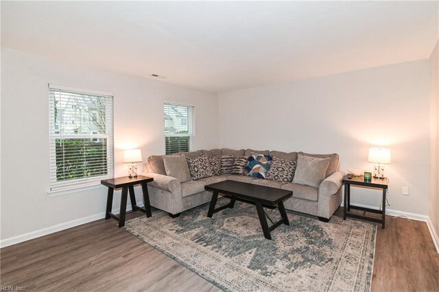 living room featuring hardwood / wood-style floors