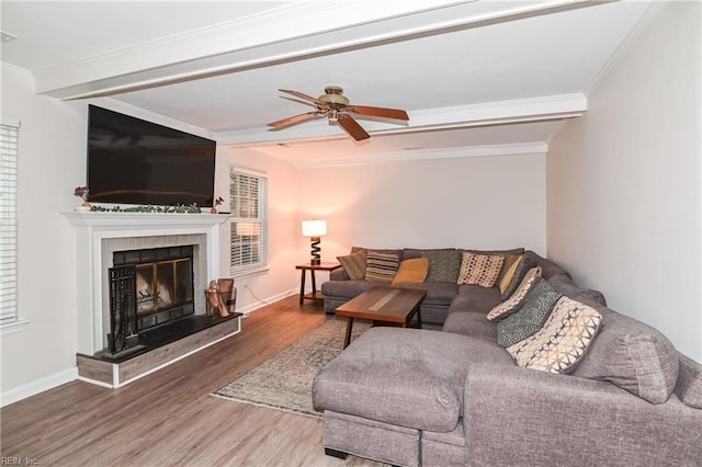 living room with hardwood / wood-style flooring, ceiling fan, and ornamental molding