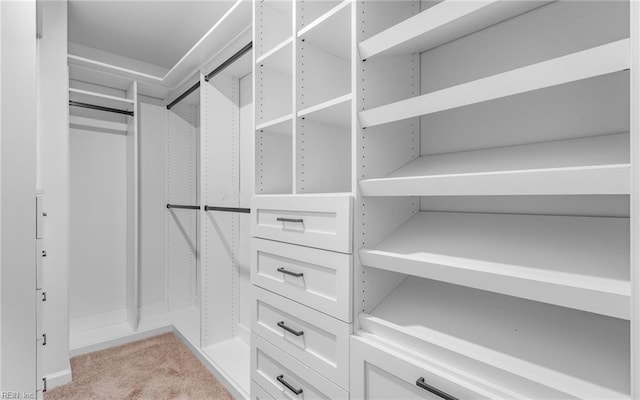 spacious closet with light colored carpet