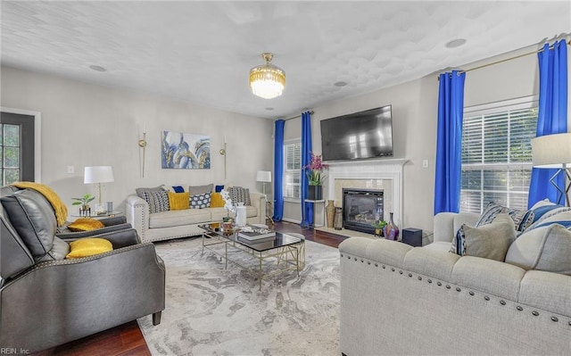 living room with hardwood / wood-style flooring