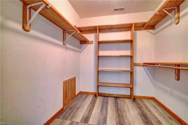 walk in closet with hardwood / wood-style flooring