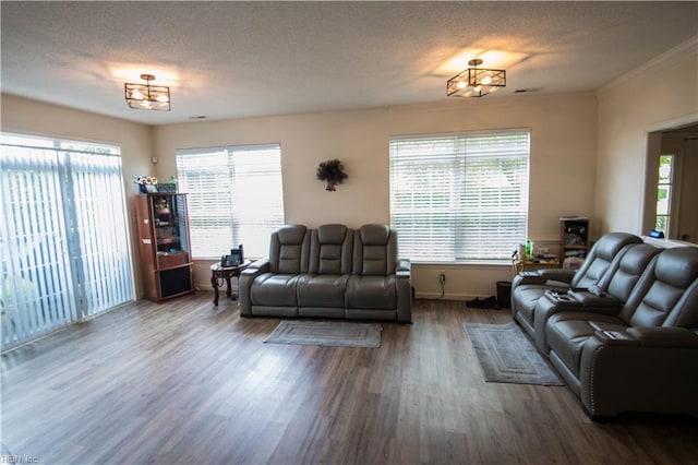 living room with crown molding, dark hardwood / wood-style flooring, a textured ceiling, and an inviting chandelier