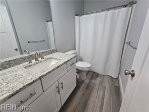 bathroom with vanity, toilet, and wood-type flooring