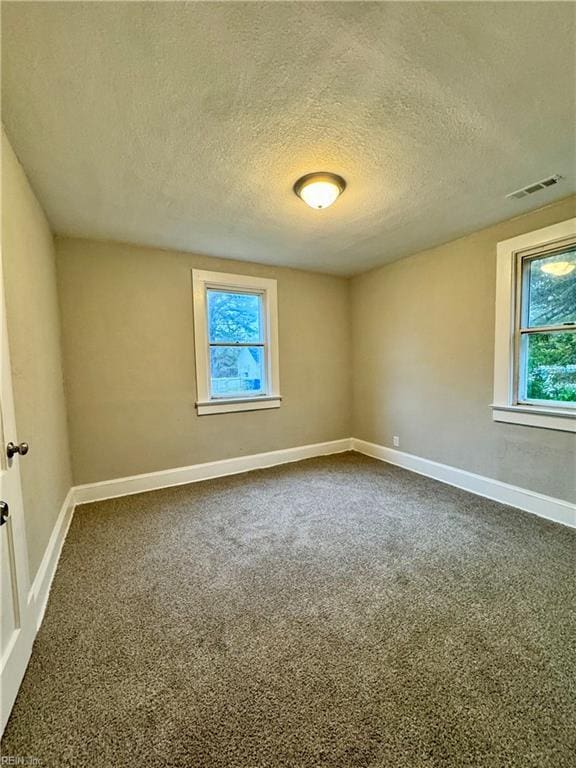 unfurnished room with carpet and a textured ceiling