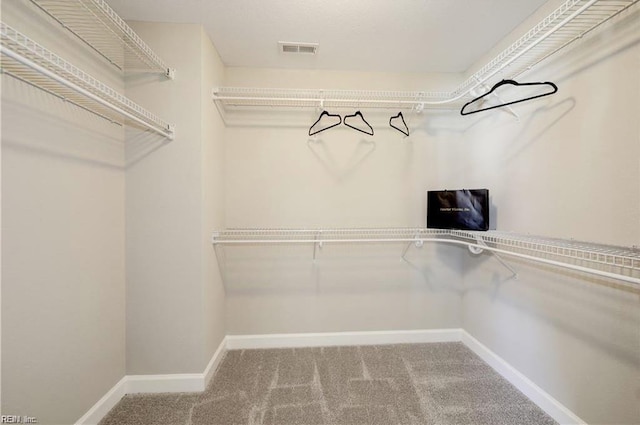 spacious closet featuring carpet flooring