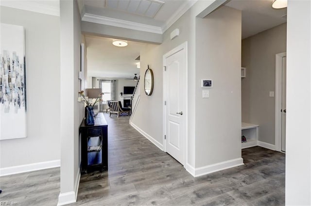 corridor with wood-type flooring and ornamental molding