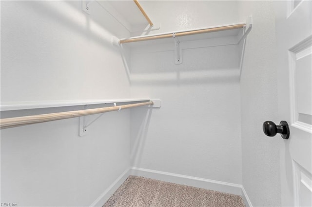 spacious closet with carpet floors