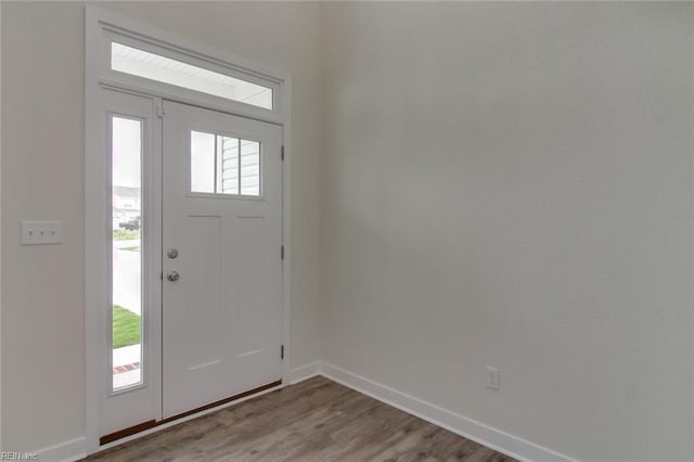 foyer entrance with hardwood / wood-style floors