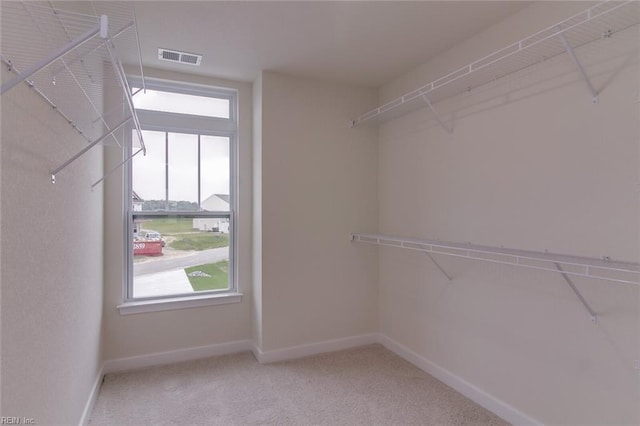 spacious closet with light carpet