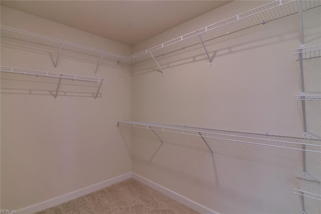 walk in closet with carpet flooring