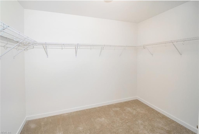 spacious closet with light carpet