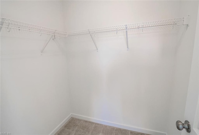 walk in closet with carpet